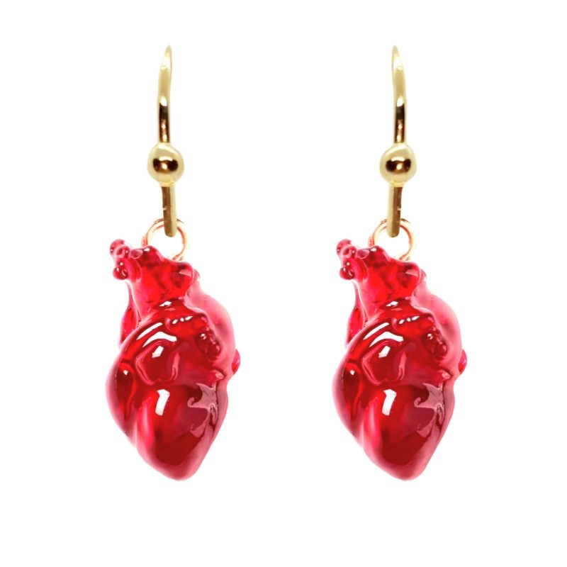 KOLCZYKI FUN NAUKA ANATOMIA SERCE CZŁOWIEKA TRANSP (362)